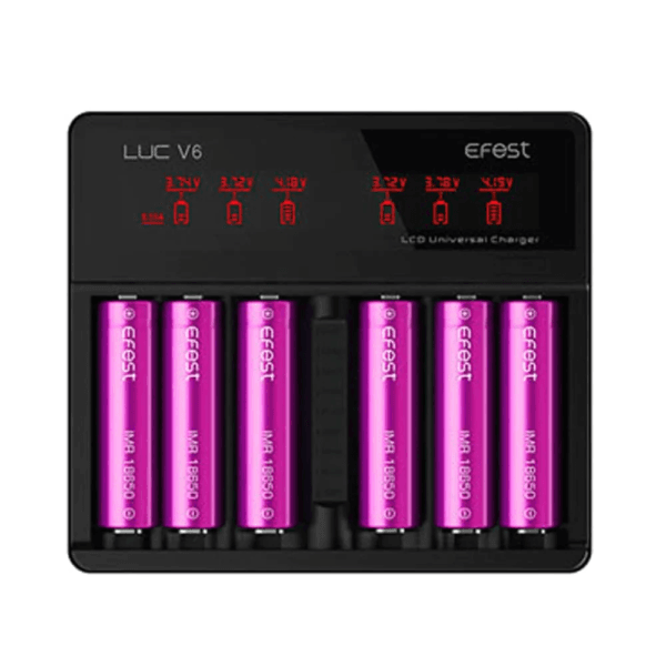 Efest LUC V6 Charger