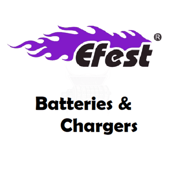 Efest LUC V6 Charger