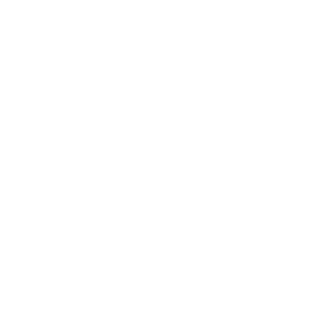 The Alchemist Avicenna 12/60ml