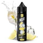 Mur Gin Tonic 20/60ml