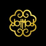 Dotmod Switch R Coils 0.6ohm