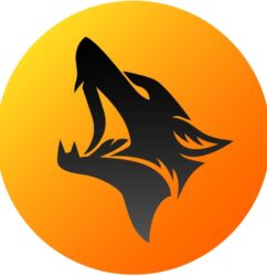 Steamwolf Nyx 12/60ml