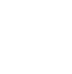 The Alchemist Avicenna 12/60ml