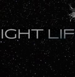 Nightlife Playa Den Bosa 10ml